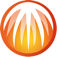 BitComet比特彗星手机版v2.6.3 最新版